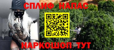 МДПВ Обь