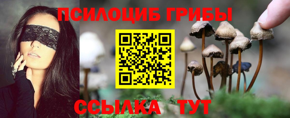 Галлюциногенные грибы Psilocybe Сергиев Посад